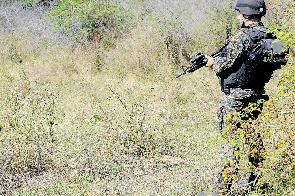 policija Srbija, Foto: Shutterstock.com