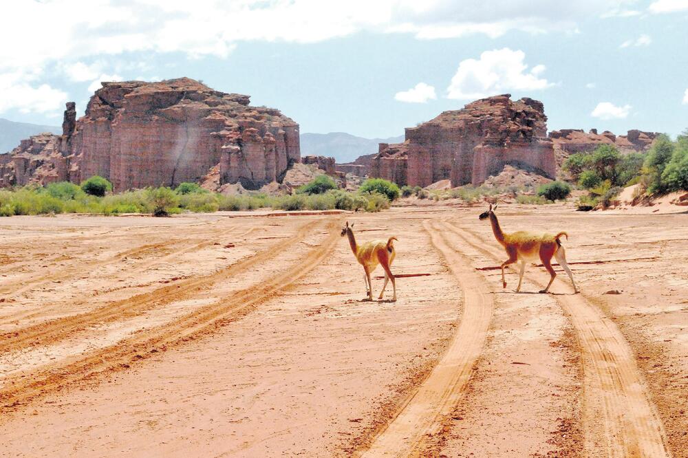 Talampaja, Foto: Taringa.net
