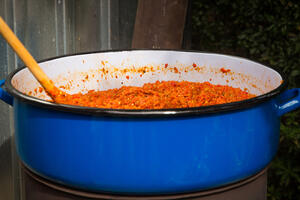 17 stvari koje jasno govore da ste iz slovenske porodice