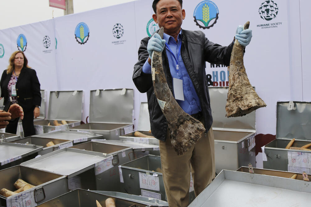 Vijetnam, slonovača, Foto: Beta-AP