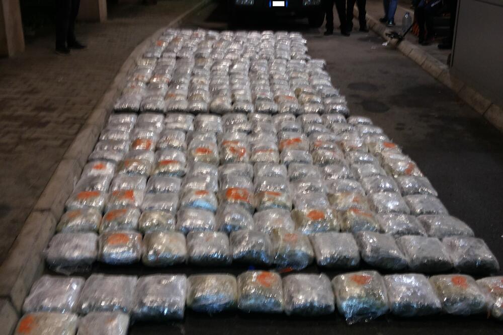 Božaj, marihuana, Foto: Uprava policije