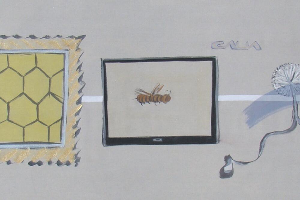 Aleksandar Vukotić, Foto: Privatna arhiva