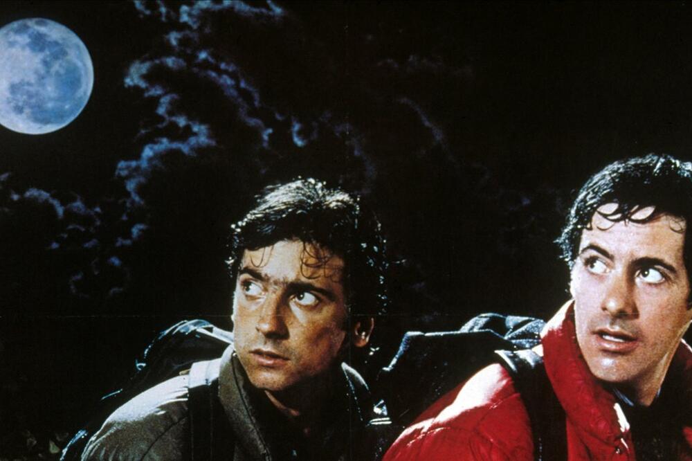 vukodlak, Foto: YouTube