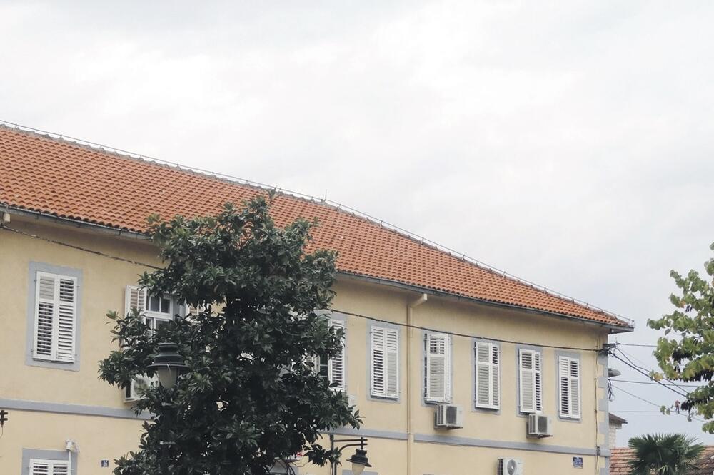 NPCG, dron, Foto: NPCG