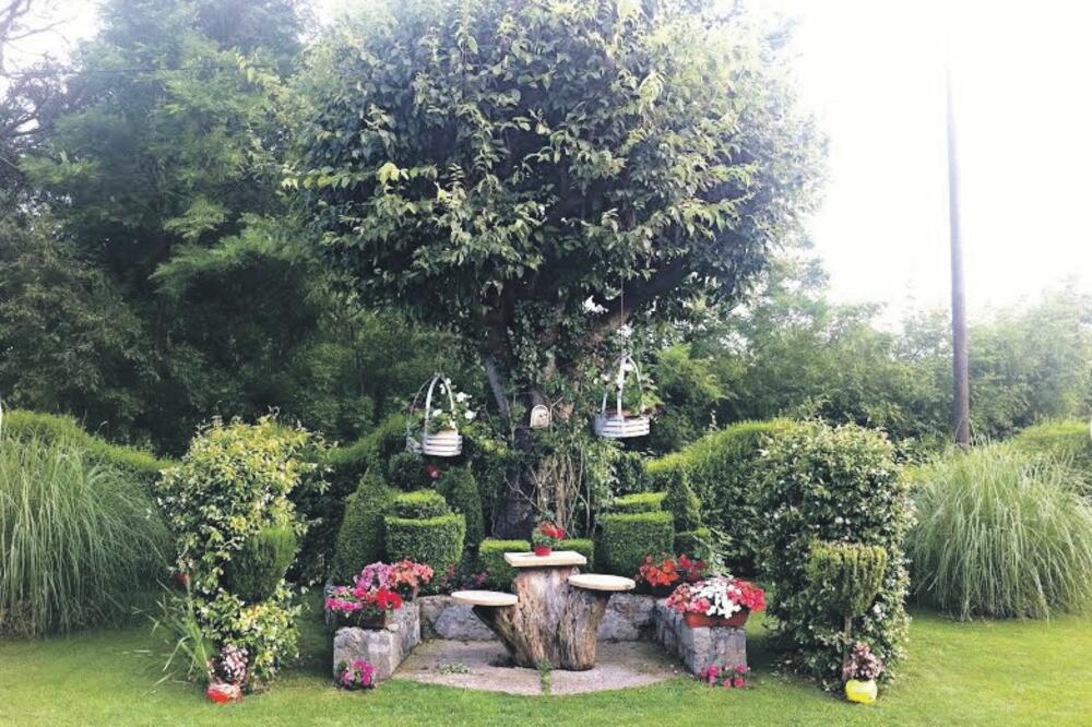 Anđela Vujačić, bašta, Foto: Privatna arhiva