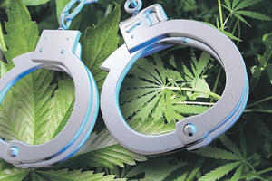U Albaniji uhapšena 31 osoba i zaplijenjeno 4,2 tone marihuane