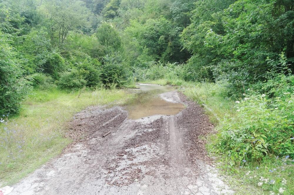 put Bukovica, Foto: Goran Malidžan