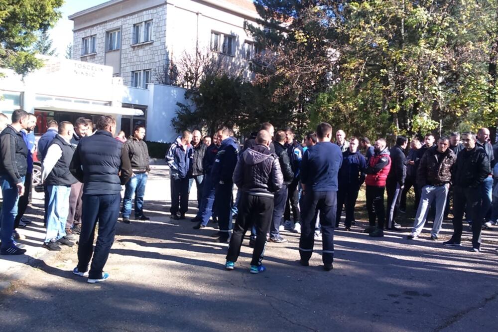 Toščelik, Foto: Svetlana Mandić