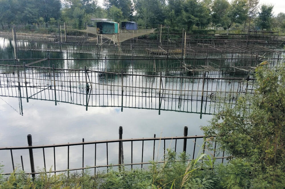 Prepreke, Foto: Samir Adrović