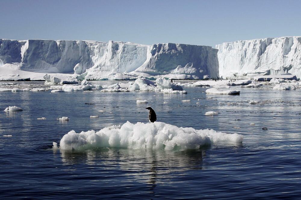Antarktik, Foto: Reuters