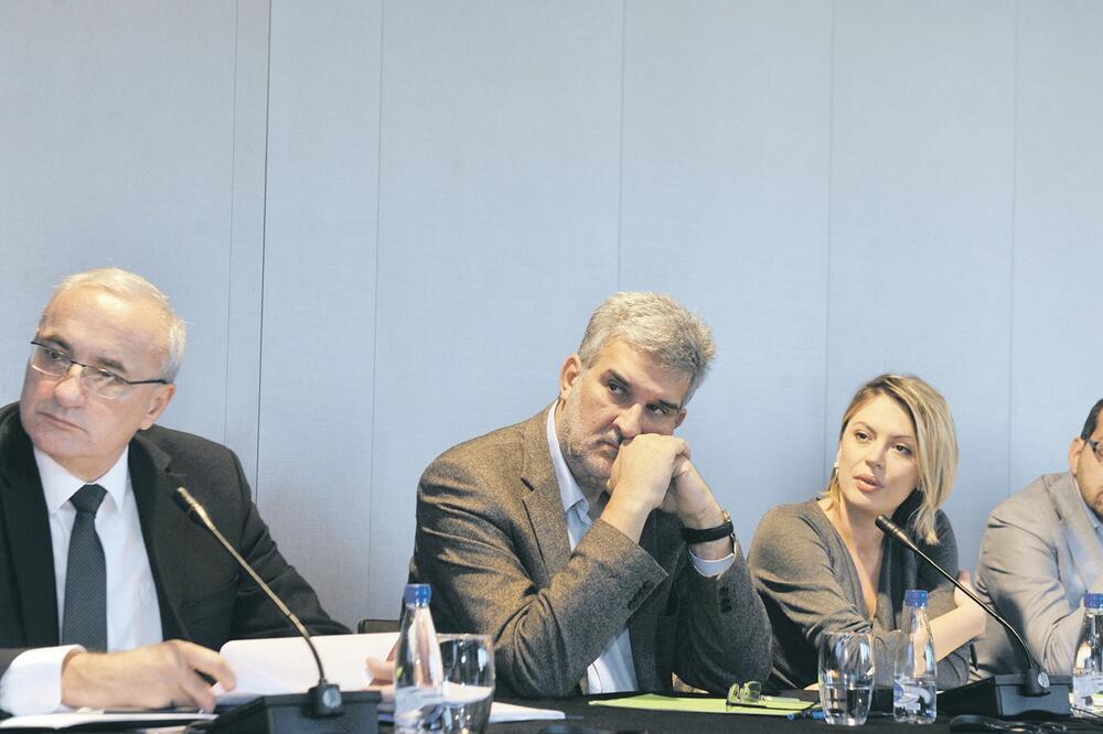 Konferencija partija i NVO, Foto: Savo Prelević