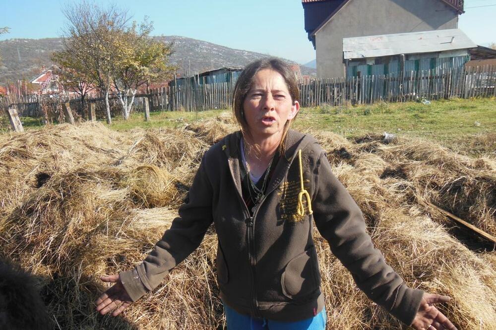 Slavka Adžović, Foto: Svetlana Mandić