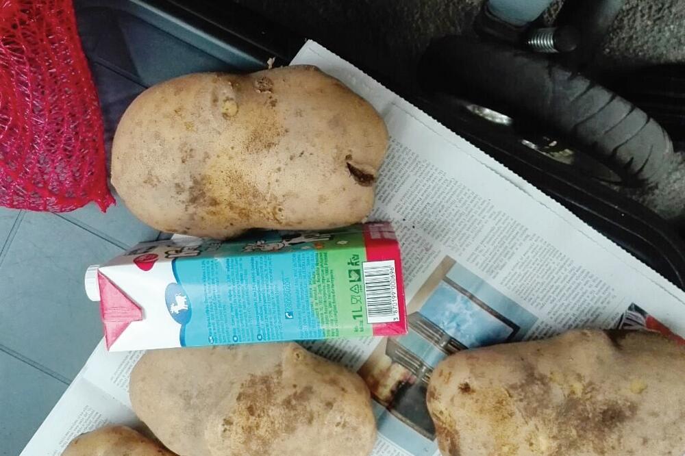 Krompir u Kolašinu, Foto: Privatna arhiva