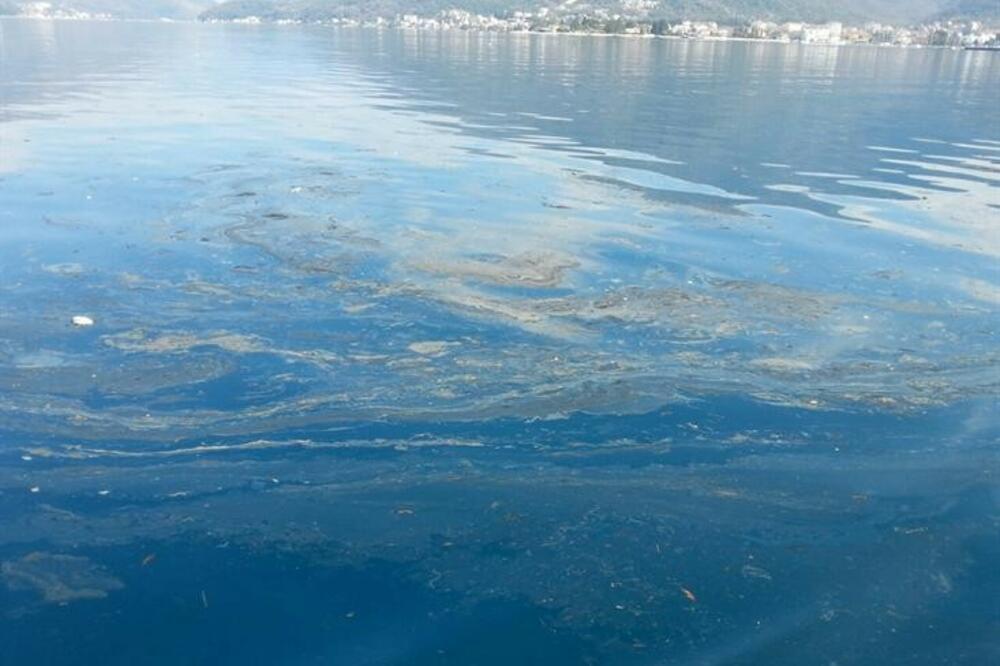 Naftna mrlja Tivat, Foto: Ministarstvo saobraćaja i pomorstva