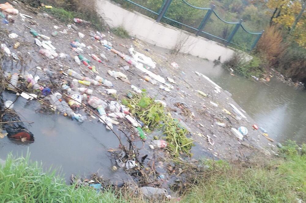 Mrkošnica smeće, Foto: Čitalac Vijesti