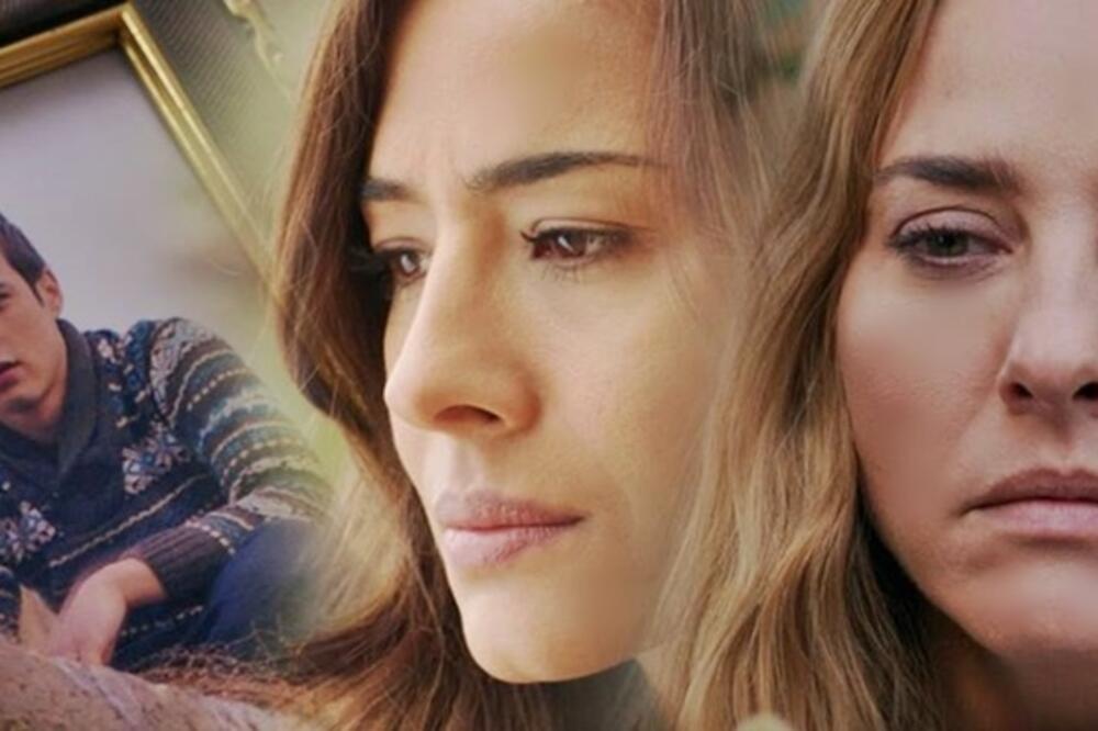 Crna ruža, Foto: TV Vijesti