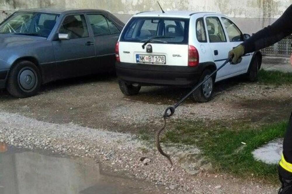 poskok, Nikšić, Foto: Privatna arhiva