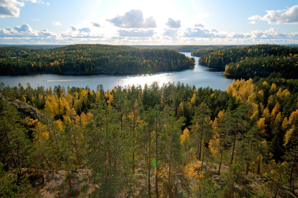 Finska, šume, Foto: Shutterstock