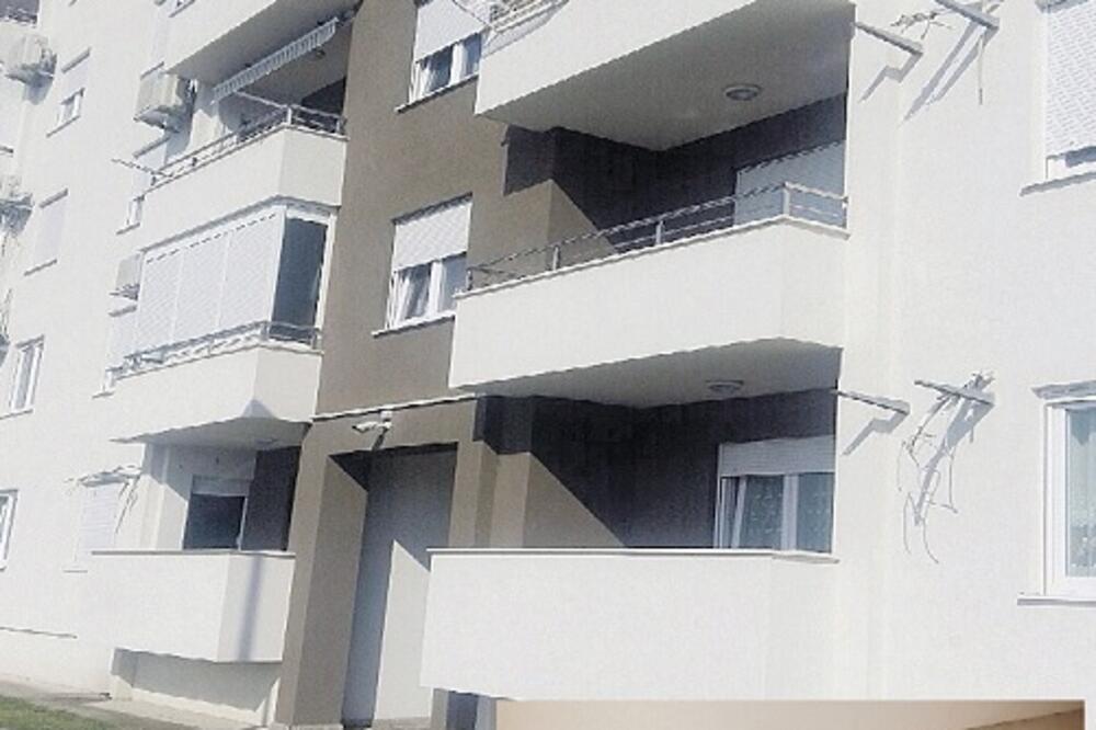 trovanje pasa, Tuški put, Foto: Privatna arhiva