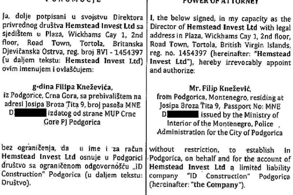 Filip Knežević Hemstead, Foto: Printscreen