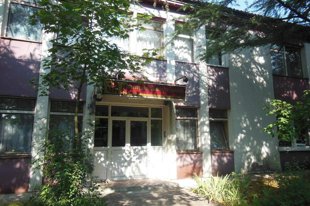 Zigma, Foto: Svetlana Mandić