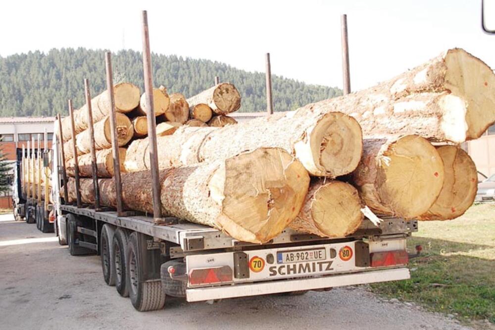 Drva, drvna industrija, Foto: Breznica