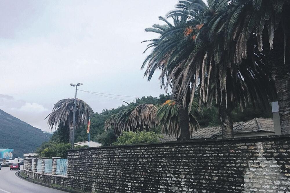 Tivat, Foto: Siniša Luković