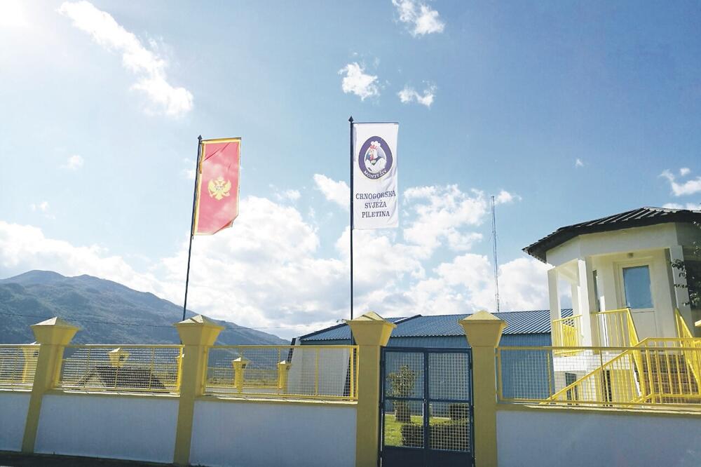 Monteživ, Foto: Monteživ