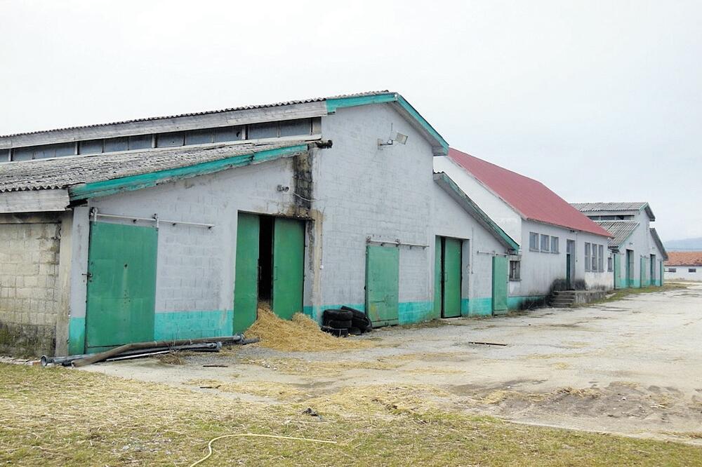 farma, Kapino polje, Foto: Svetlana Mandić