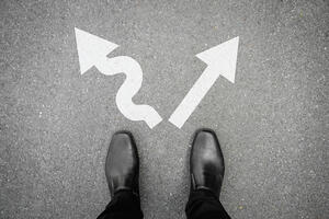 Ništa se ne mora, samo se želi