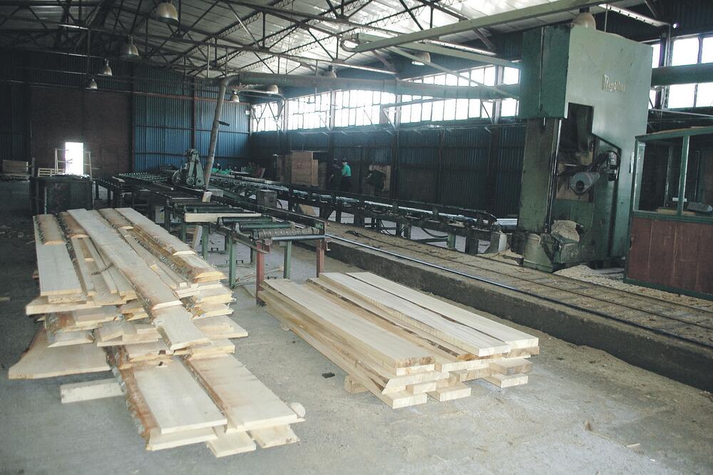 Javorak MB, Foto: Svetlana Mandić