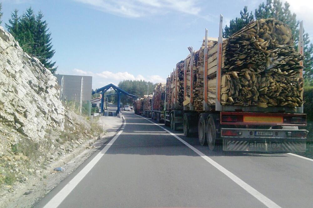 drvna građa, Foto: NVO Breznica