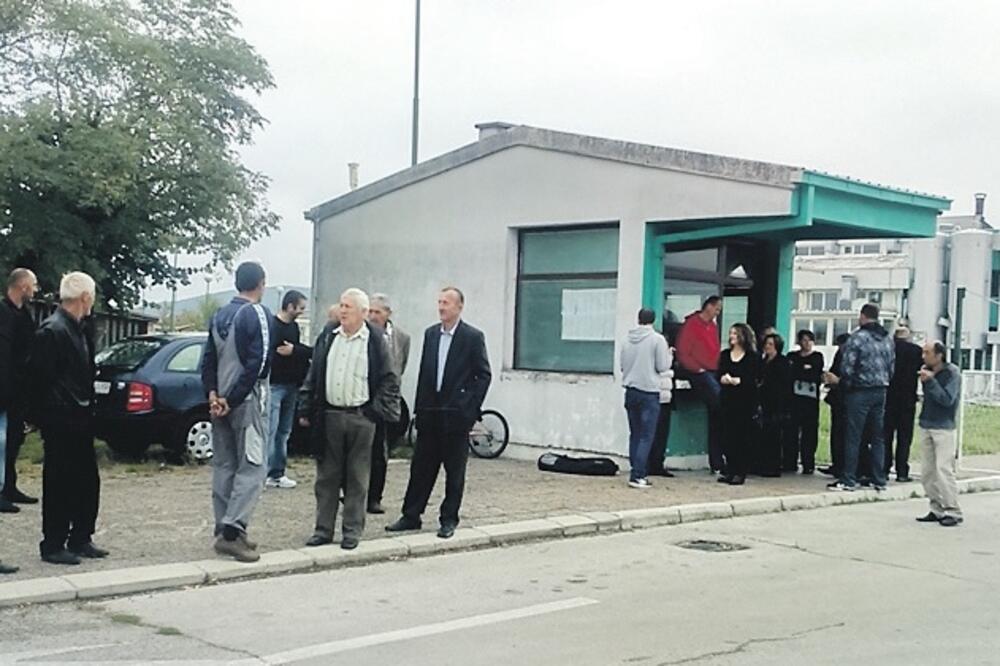 kooperanti, Nika, Foto: Svetlana Mandić