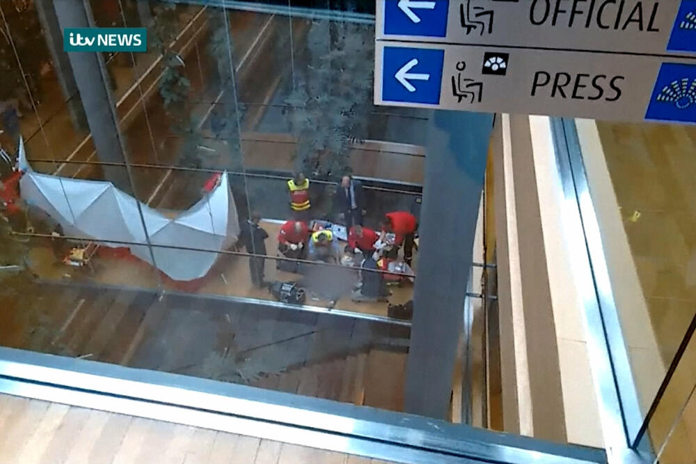 Stiven Volf, Evropski parlament, Foto: Reuters