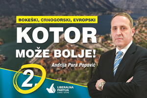 Grbović: Liberalna partija za slobodnu carinsku zonu u Kotoru