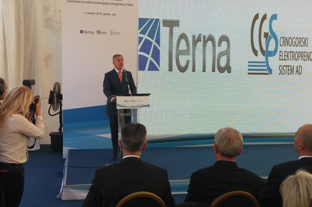 Tivat, Milo Đukanović, kabal, Foto: Siniša Luković