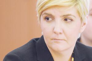 Sekulić: Drvo najjeftiniji vid grijanja