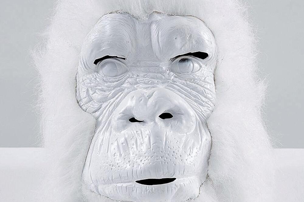 Planeta majmuna, Foto: Www.miandn.com