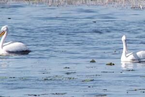 Za kritike je rano, rasprave još neće biti