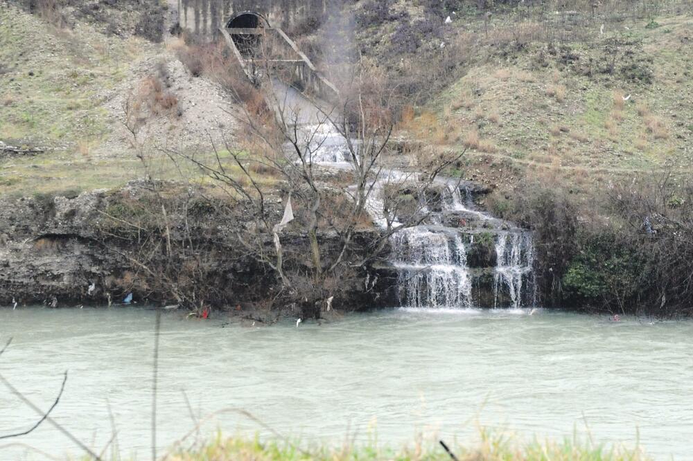 kolektor, Foto: Zoran Đurić