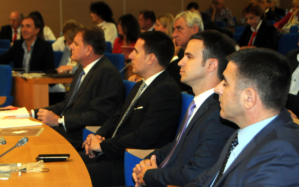 Skupština grada, Slavoljub Stijepović