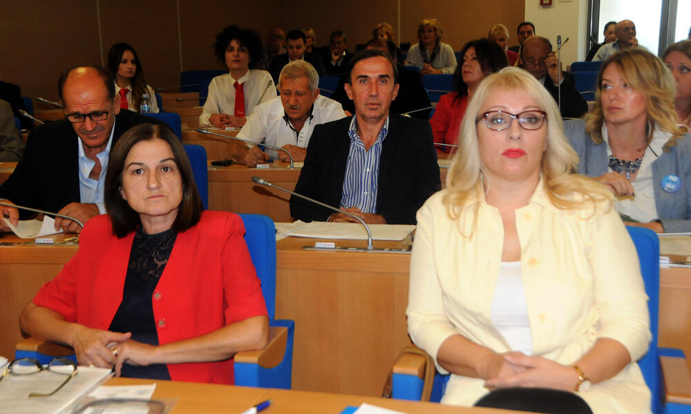 Skupština grada, Slavoljub Stijepović