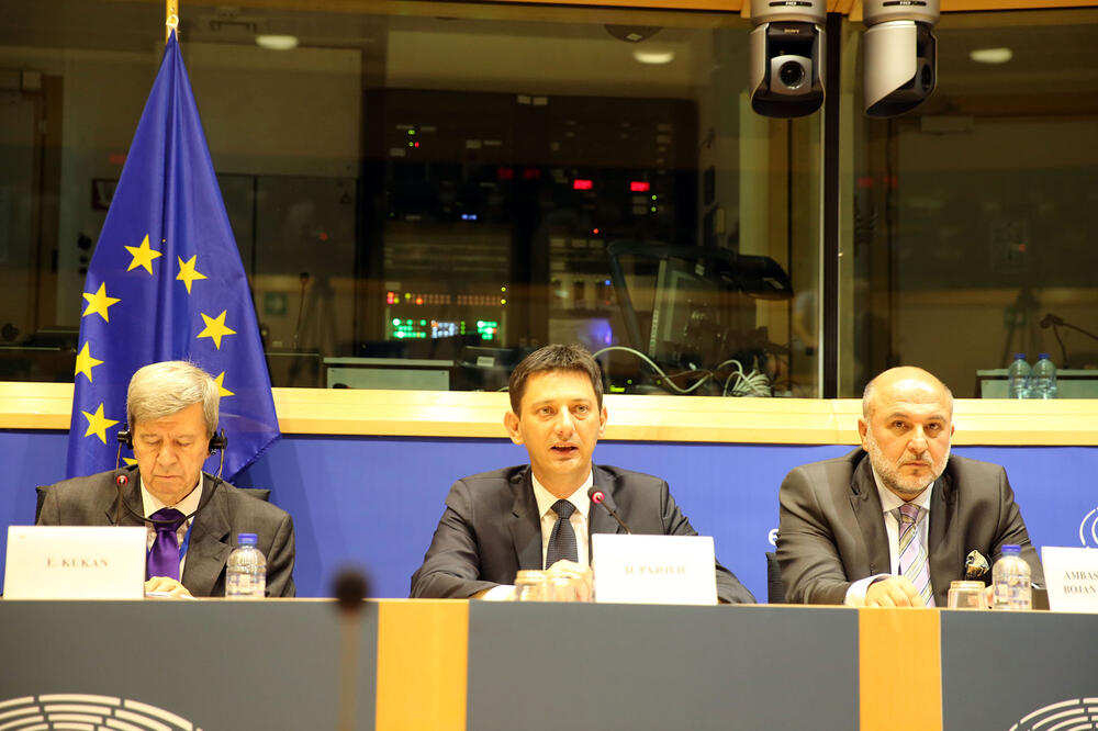 Darko Pajović, evropski parlamentarci, Foto: Skupština Crne Gore