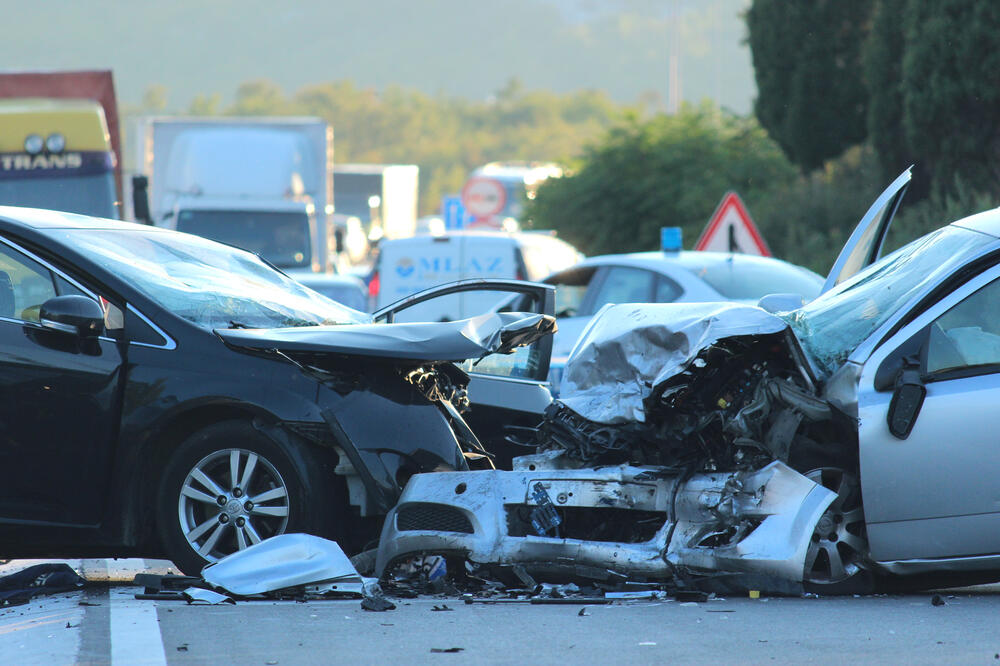 udes, Barutana, Foto: Filip Roganović