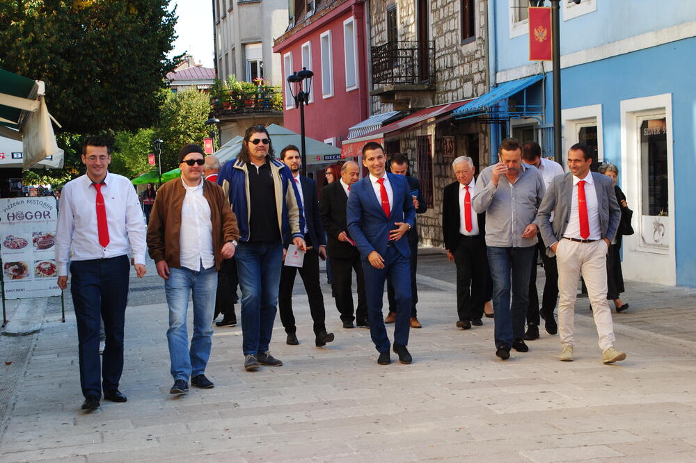 Demokrate Cetinje, Foto: Demokratska Crna Gora