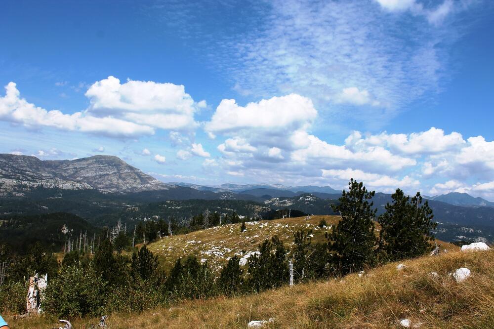 Lisac, Prekornica, Foto: Jasna Gajević