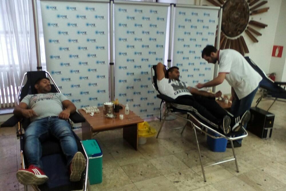 Davanje krvi, Foto: Svetlana Mandić