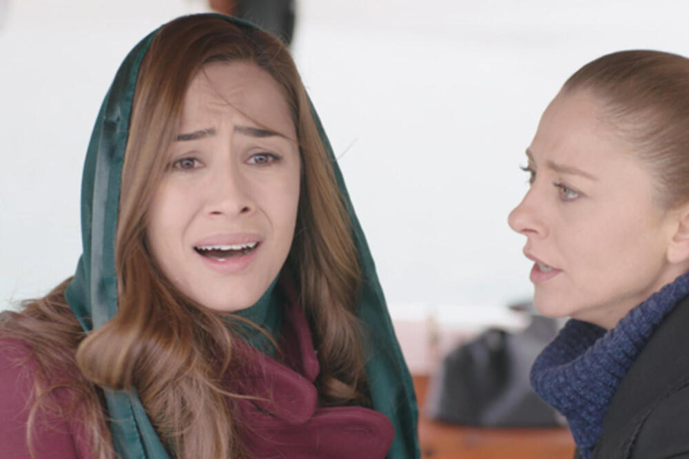 Crna ruža, Foto: Shutterstock.com