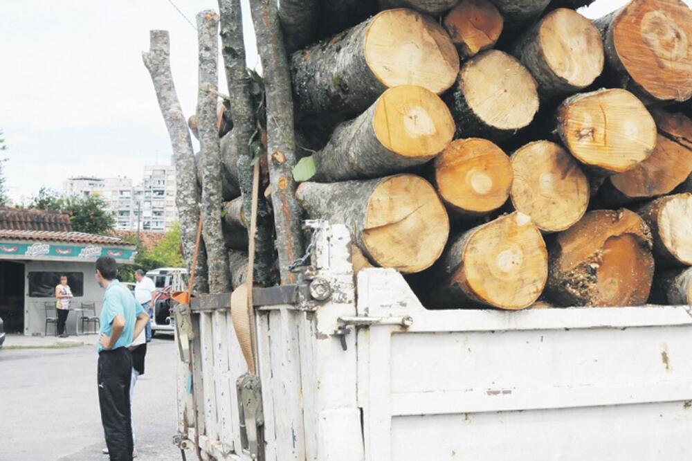 drva za ogrijev, Foto: Vesko Belojević