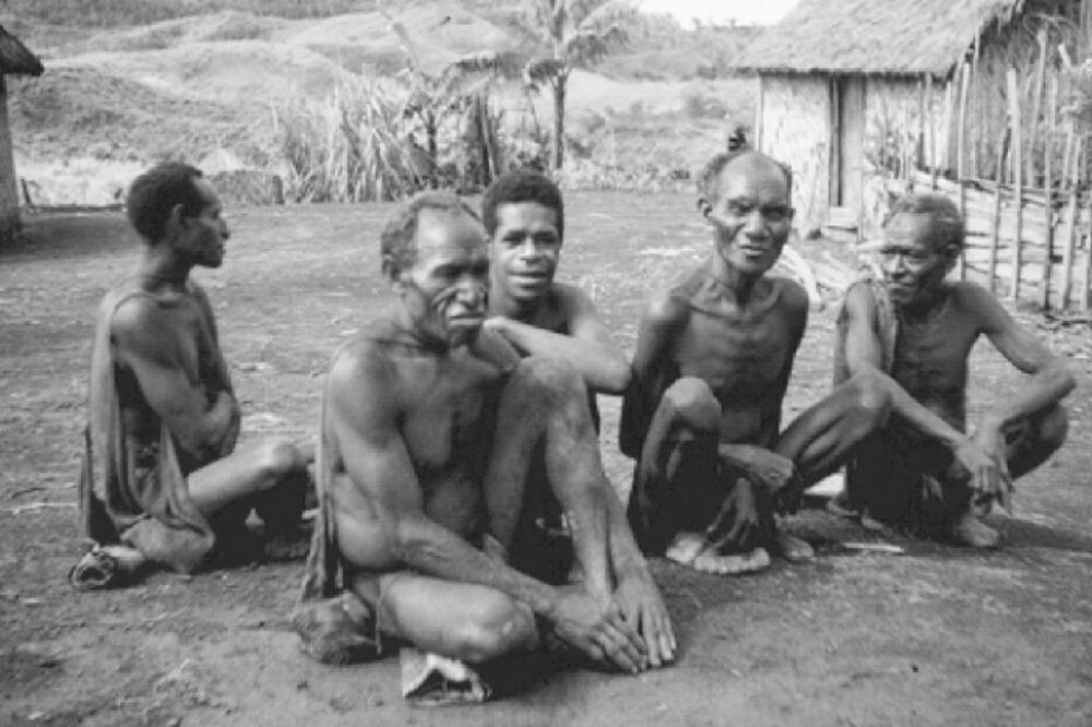 pleme Fore, Foto: RSTB.ROYALSOCIETYPUBLISHING.ORG